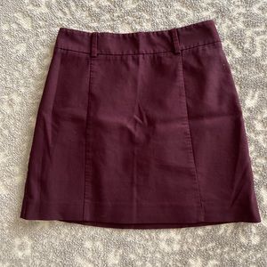 Express skirt